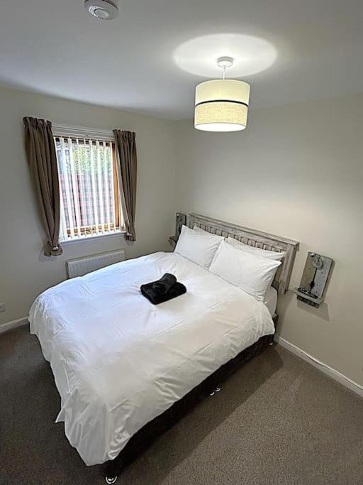 Cosy At Camden, Entire Bungalow Evanton Bagian luar foto